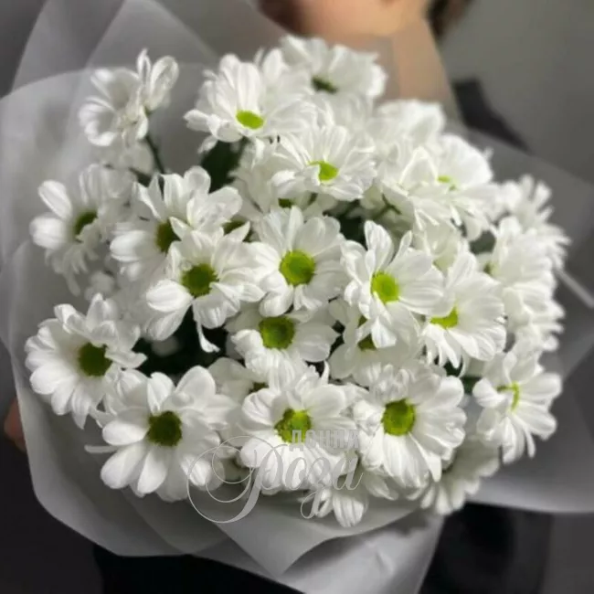 Букет &laquo;Ромашки&raquo;