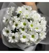Букет «Ромашки»