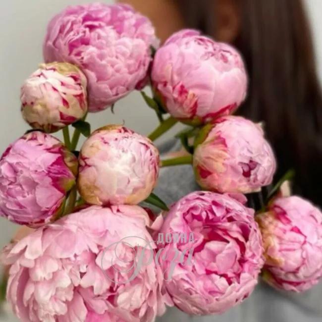 Букет из розовых пионов